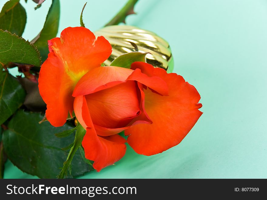 Red Roses and golden jewel case.