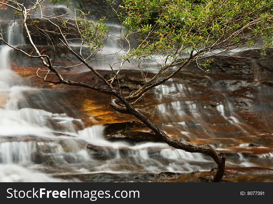Minnamurra falls in NSW, Australia. Minnamurra falls in NSW, Australia.