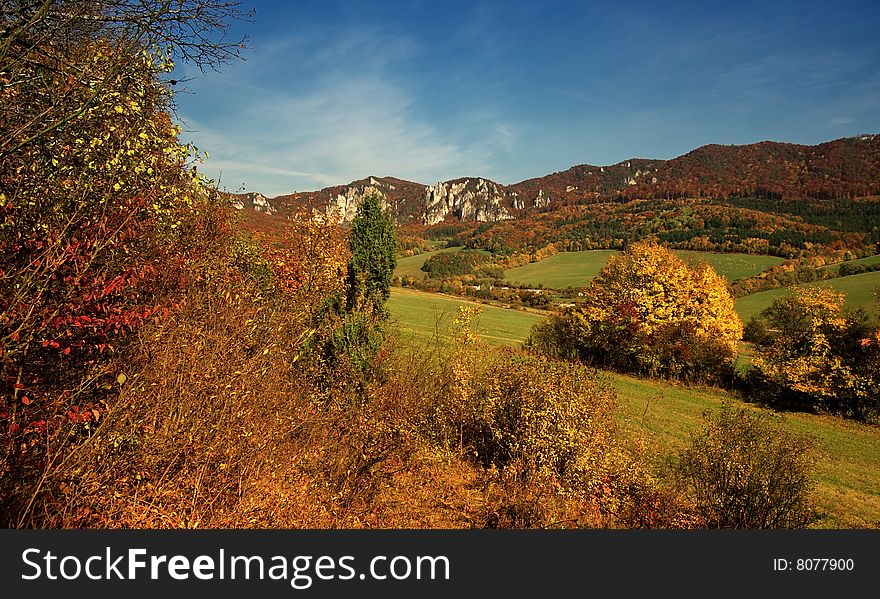 The autumn, nature color, color view. The autumn, nature color, color view