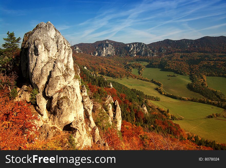 The autumn, nature color, color view. The autumn, nature color, color view