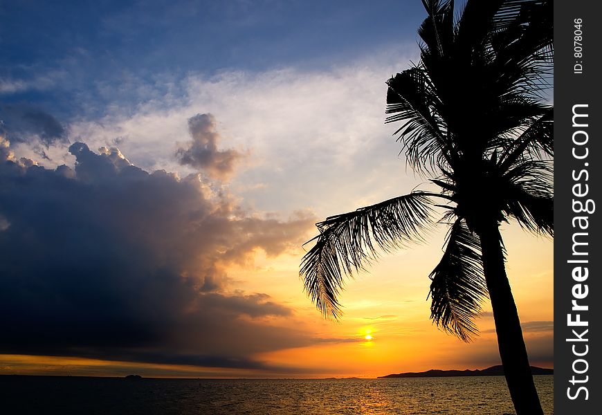 Clouds and sunset & palm silhouette at seashore. Clouds and sunset & palm silhouette at seashore