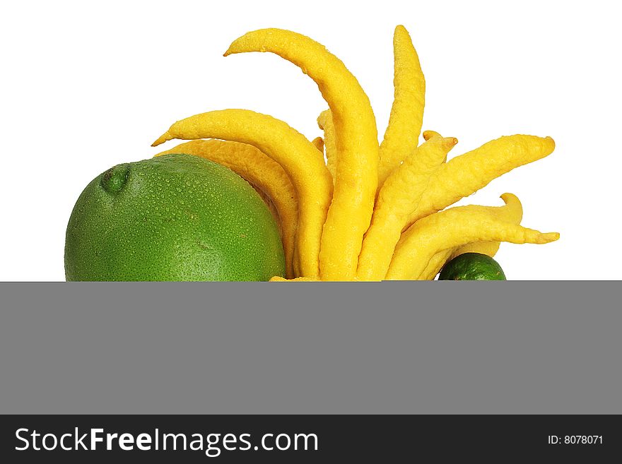 Green Grapefruit, Limes and Buddha Hand Lemon