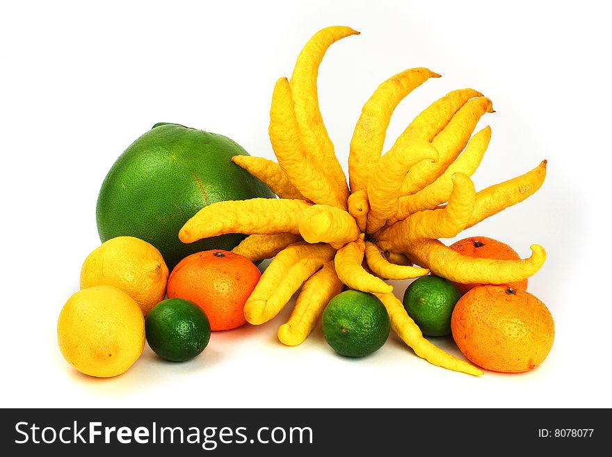 Oranges, limes, lemons, Buddha Hand lemon and green grapefruit makes a colorful display of citrus fruits. Oranges, limes, lemons, Buddha Hand lemon and green grapefruit makes a colorful display of citrus fruits.