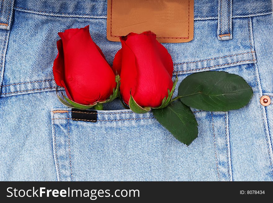 A couple of roses tucked in a denim pocket. A couple of roses tucked in a denim pocket.