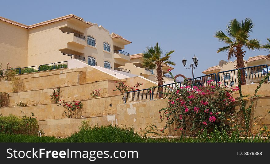 Beautiful Flowers Decorate Of Hotel