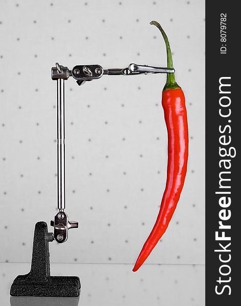 Still life image of red chili