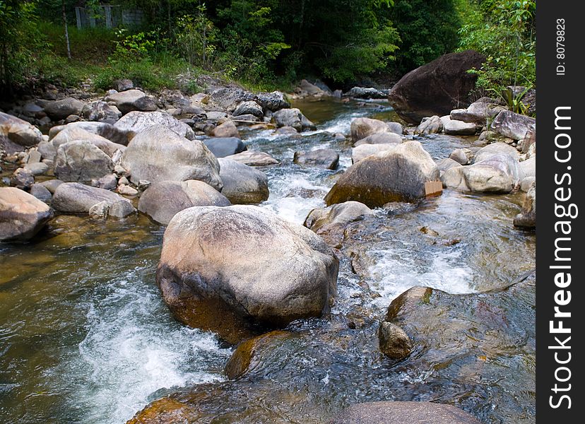 Stony stream in the forest