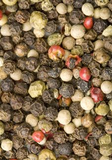 Pepper Of Four Colours Stock Image Pepper Of Four Colours Stock Image
