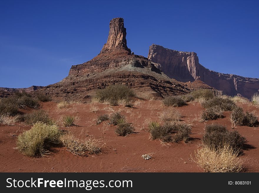 View of the red rock formations in Canyonlands National Park with blue sky�