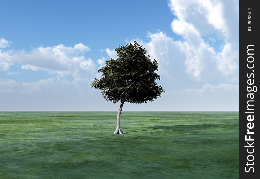 A tree within a green grass landscape. A tree within a green grass landscape.
