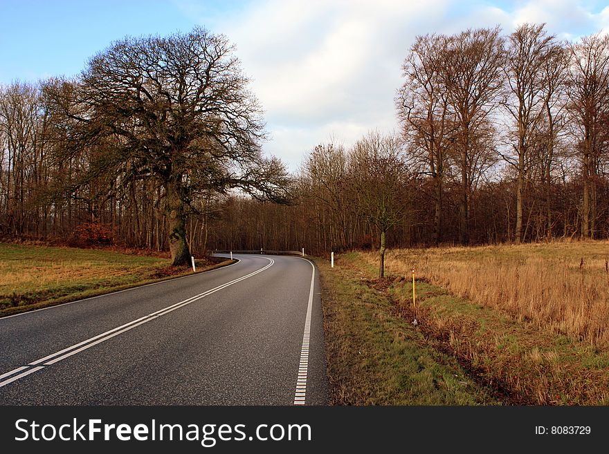 Typically Danish country road photographed at winter time