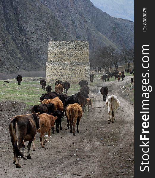 Ancient tower in mountains of Kavkaz Russia. Ancient tower in mountains of Kavkaz Russia