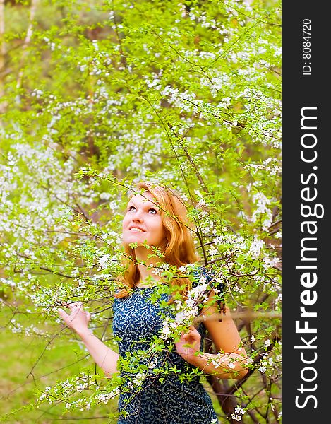 Young beautiful woman and blossomed tree. Young beautiful woman and blossomed tree
