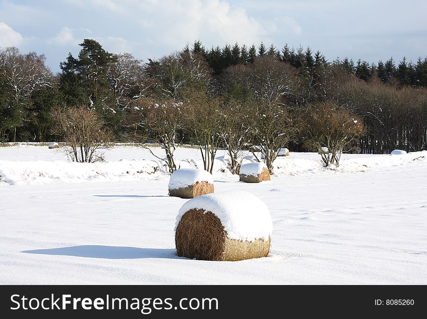 Hay bales in the snow