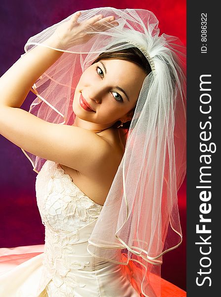 Studio portrait of a young brunette bride with a white veil. Studio portrait of a young brunette bride with a white veil