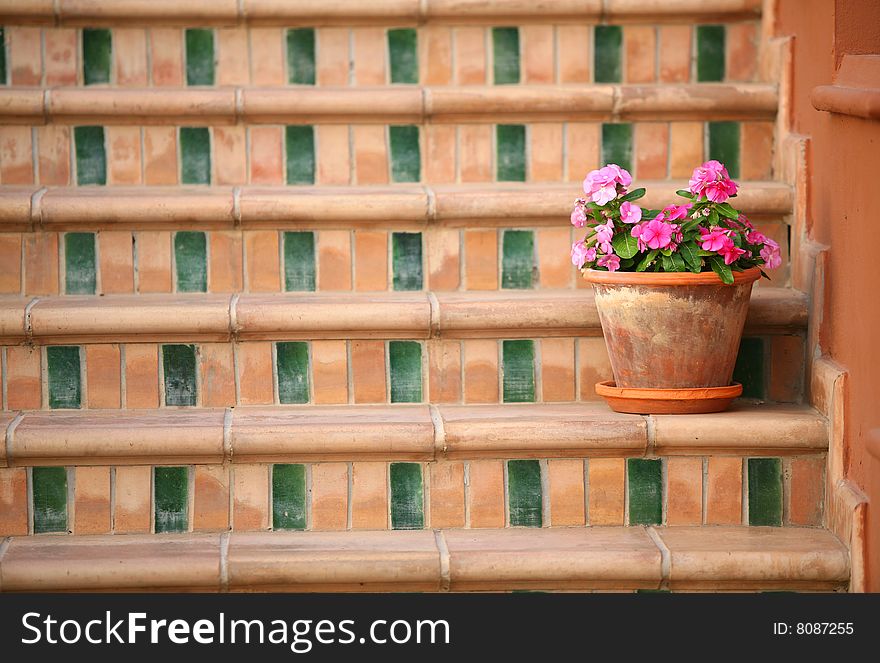 Colorful steps with flowerpot and flower