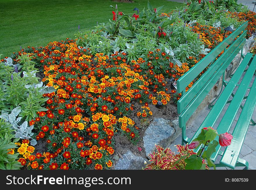 Flowers And Bench