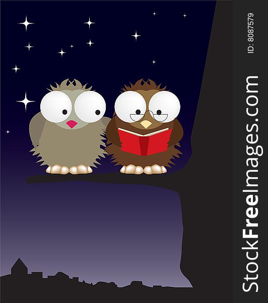 Mr And Mrs Owl In Love