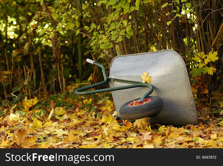 Autum in the garden with a forgotten wheelbarr