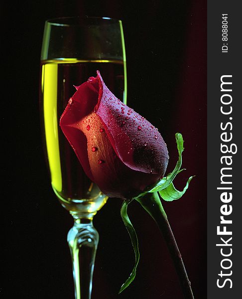 Red Rose and a glass of champagne on a black background. Red Rose and a glass of champagne on a black background