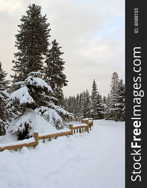 Path  in snowy mountains