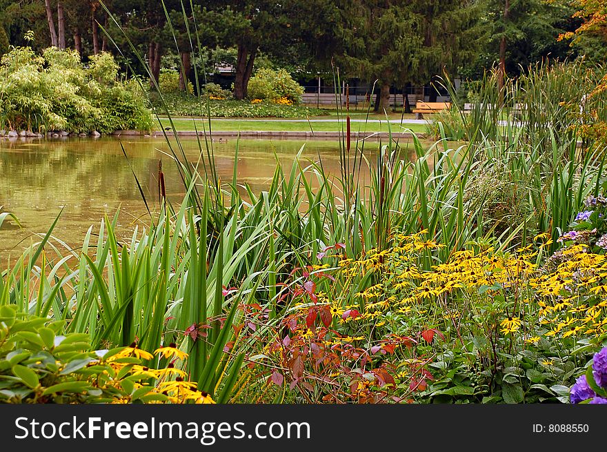 Colorful autumn pond with flowers