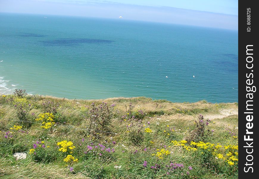 Land with yellow flowers above a blue sea; city of Calais