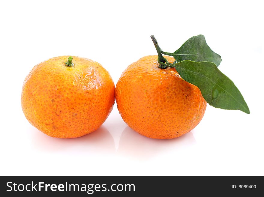 Close up of mandarin oranges isolated over white background.