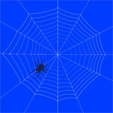 Spider Web Stock Photos Spider Web Stock Photos