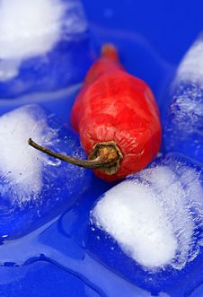 Melting Chili Pepper Stock Photos