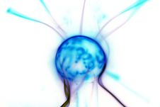 Plasma Lamp Stock Photo Plasma Lamp Stock Photo