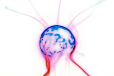 Plasma Lamp Stock Photos Plasma Lamp Stock Photos