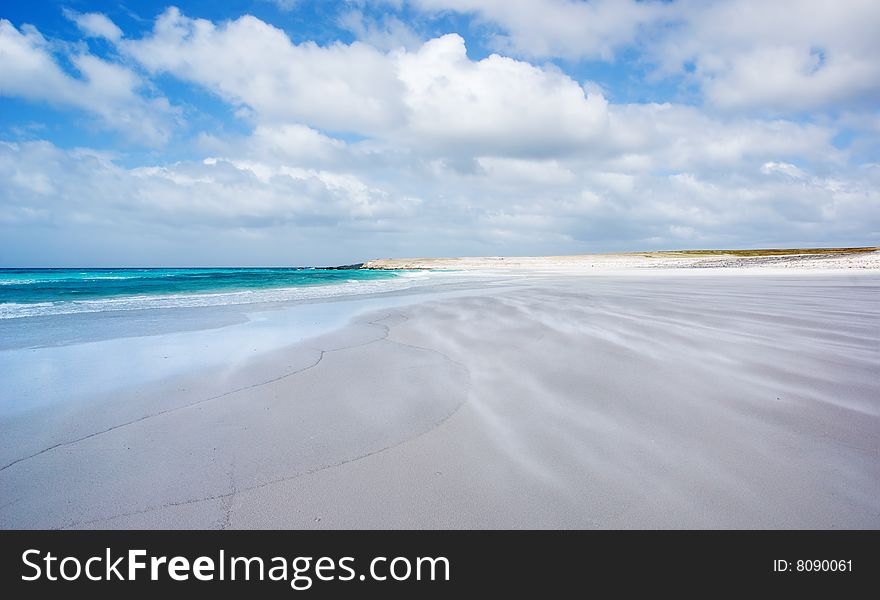 Windswept Beach at Volunteer Point, Falkland Islands