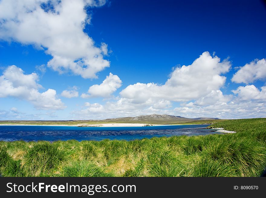 Kidney Island on the Falkland Islands