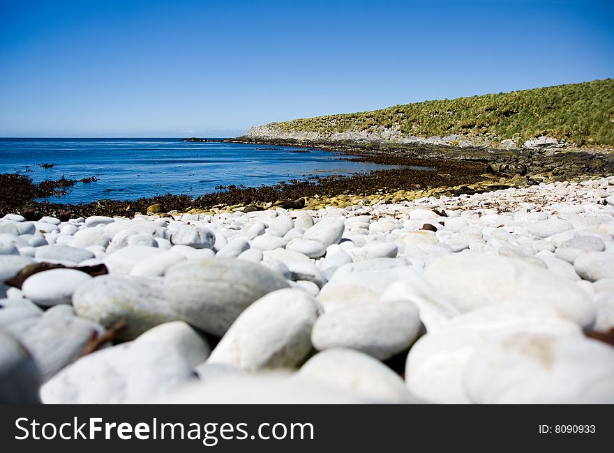 Sea Lions lying on an Isolated Beach in the Falkland Islands. Sea Lions lying on an Isolated Beach in the Falkland Islands.