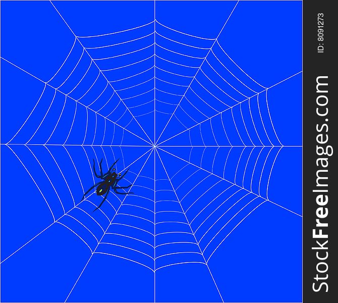 Spider web on blue background