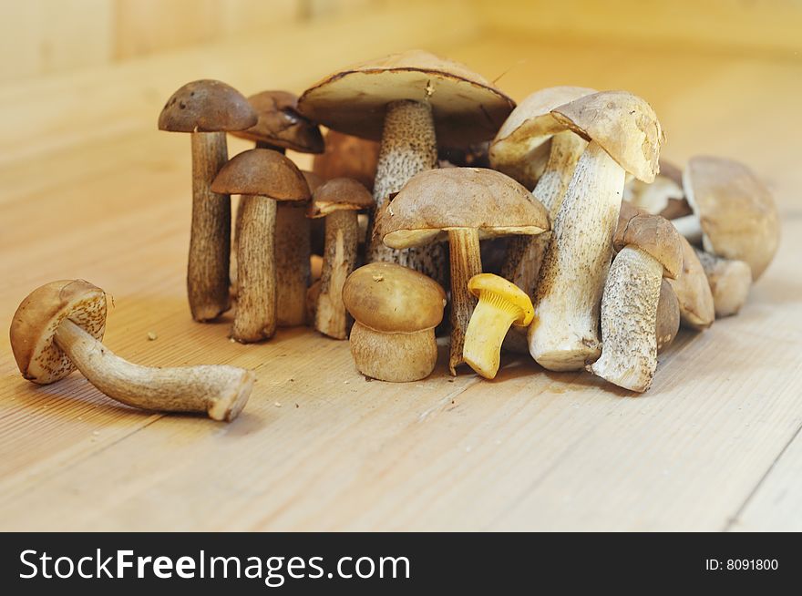 Bunch of fresh mushrooms with brown cap standing on a wooden floor with one mushroom lying down.