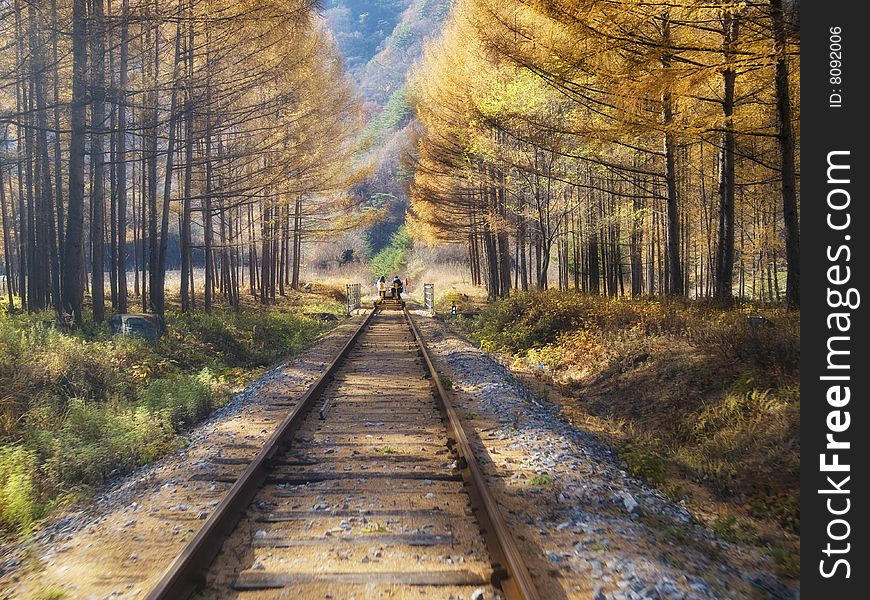 A railroad runs through the forest with a couple at the far end, sets in Korea. A railroad runs through the forest with a couple at the far end, sets in Korea
