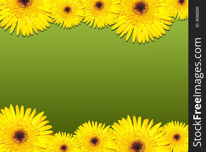 Spring background. Yellow on a green. Spring background. Yellow on a green.