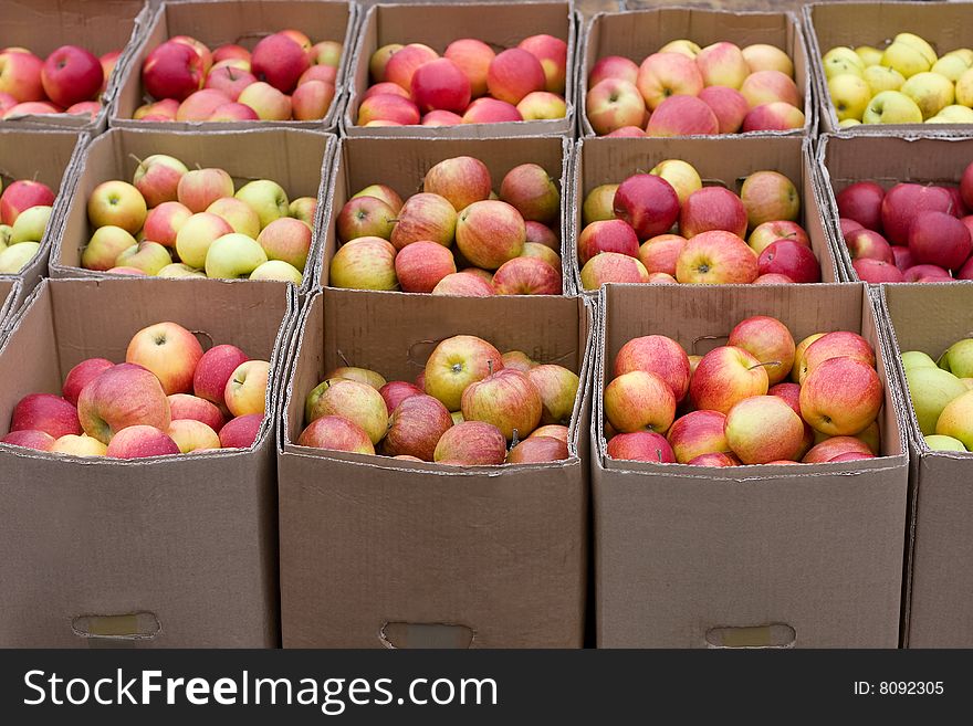 Apples In The Boxes