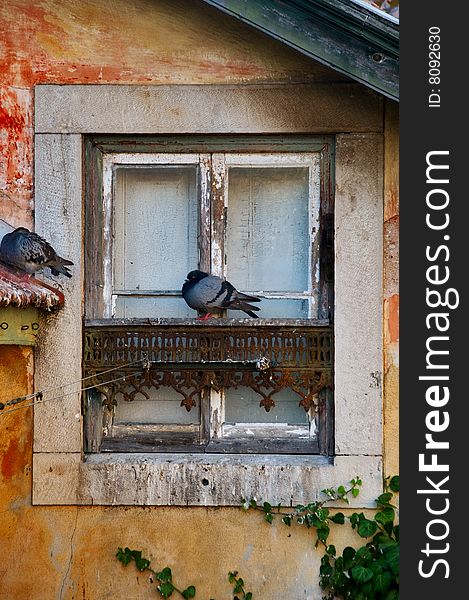 Old window with two sleepy pigeons in Sintra Village, Portugal. Old window with two sleepy pigeons in Sintra Village, Portugal