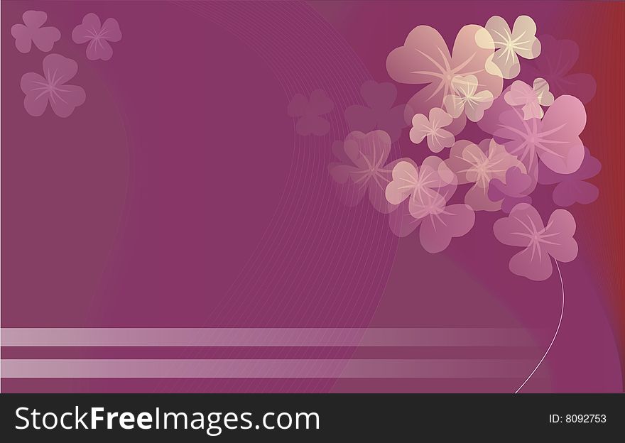 Background, card or invitation witch flowers - illustrations. Background, card or invitation witch flowers - illustrations