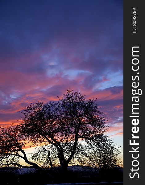 Dramatic sunset over english countryside in winter with tree silhouette. Dramatic sunset over english countryside in winter with tree silhouette