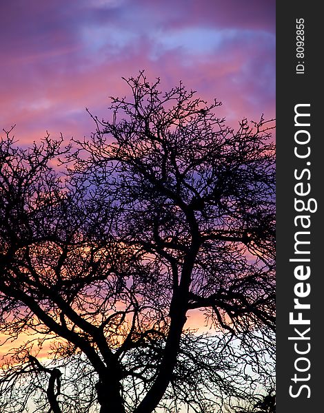 Dramatic sunset over english countryside in winter with tree silhouette. Dramatic sunset over english countryside in winter with tree silhouette