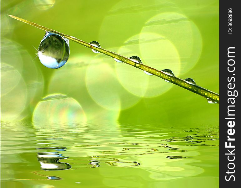 Fresh grass with dew drops close up