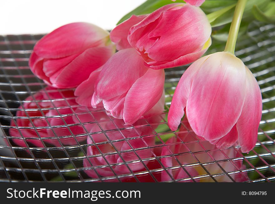 Tulips on mirror