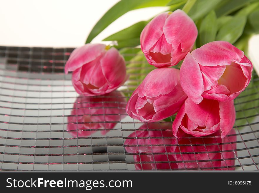 Pink spring tulips on mirror bowl, isolated on white