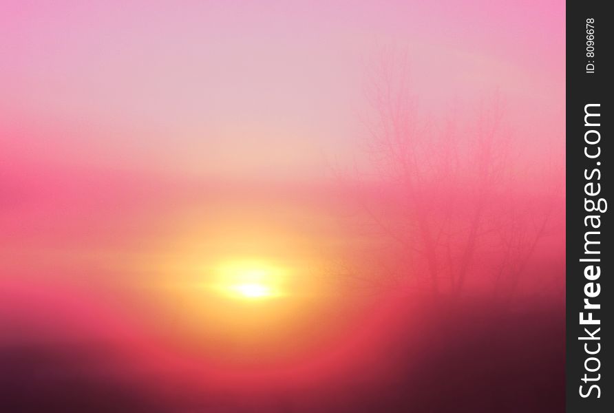 Rose foggy sunrise