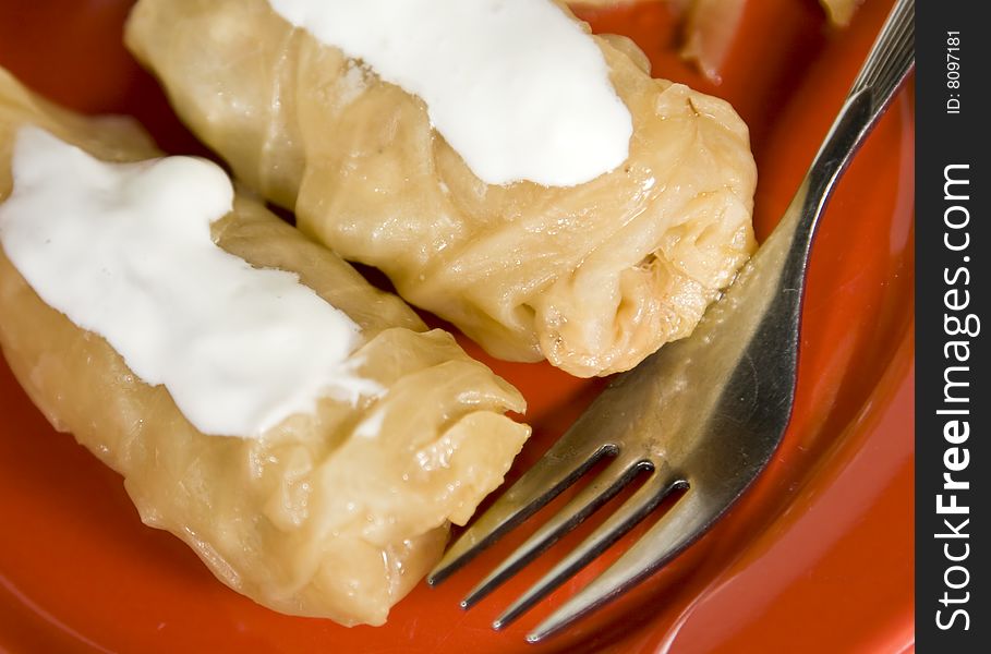 Stuffed cabbages with sour cream on red plate