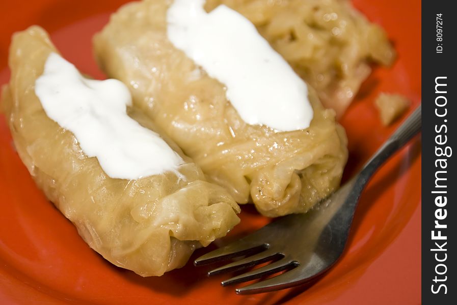 Stuffed cabbages with sour cream on red plate